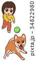 犬とボール遊びをする女性　柴犬　 34822980