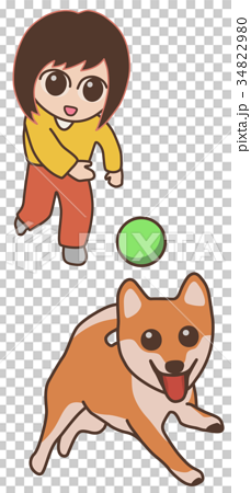 犬とボール遊びをする女性 柴犬 のイラスト素材