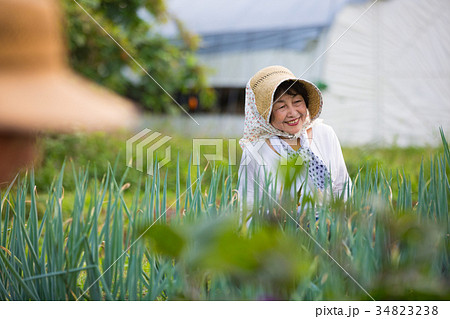 農家 仕事風景 農家 仕事風景 34823238