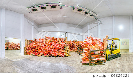 Frozen meat at a storage 34824225