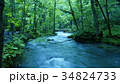 奥入瀬渓流 34824733