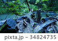 奥入瀬渓流 34824735