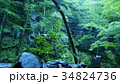 奥入瀬渓流 34824736