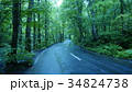 奥入瀬渓流 34824738