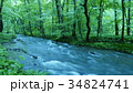 奥入瀬渓流 34824741