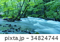 奥入瀬渓流 34824744