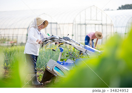 農家 仕事風景 農家 仕事風景 34824952