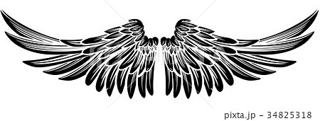 Pair Wings Pair Wings 34825318