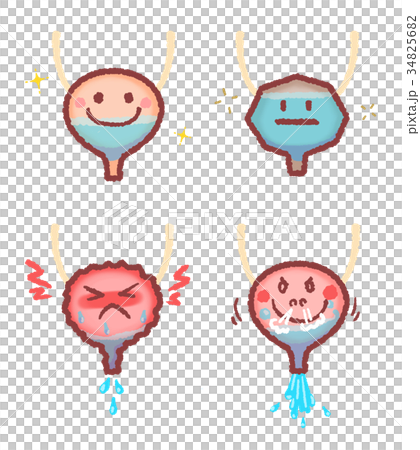 膀胱セット　尿あり 34825682