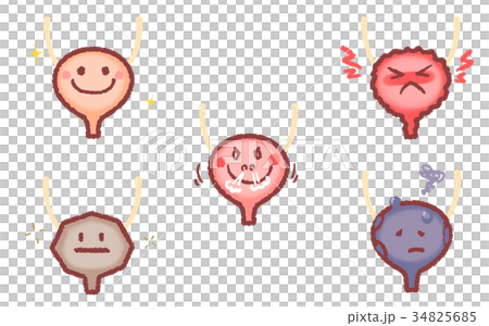 Bladder set Bladder set 34825685