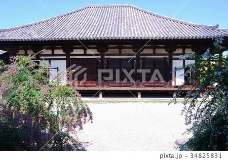 元興寺極楽堂と萩の花 34825831
