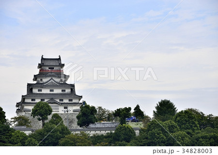 佐賀県 唐津城 佐賀県 唐津城 34828003