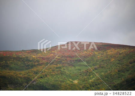 東栗駒山の紅葉・いわかがみ平から(宮城県) 東栗駒山の紅葉・いわかがみ平から(宮城県) 34828522