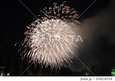 岡崎城下家康公夏祭り 花火大会 岡崎城下家康公夏祭り 花火大会 34829038