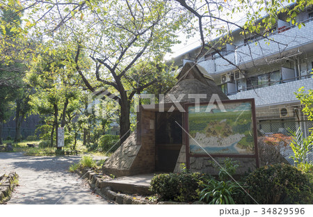 東山貝塚遺跡の竪穴式住居模型(東京都目黒区) 東山貝塚遺跡の竪穴式住居模型(東京都目黒区) 34829596