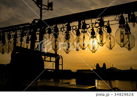 イカ釣り漁船の集魚灯と夕日 イカ釣り漁船の集魚灯と夕日 34829628