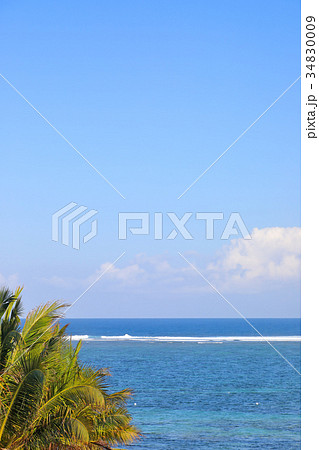 バリ島ヌサドゥアビーチ 34830009