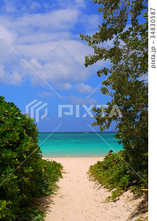海へ続く道 34830587