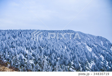 渋峠樹氷 34830719