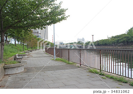 城見緑道/大阪府大阪市中央区城見 城見緑道/大阪府大阪市中央区城見 34831062