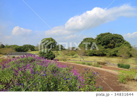 市原市農業センター 34831644
