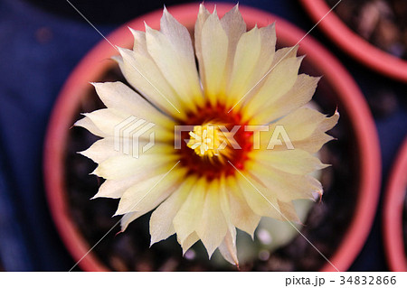 農耕 農業 背景 34832866