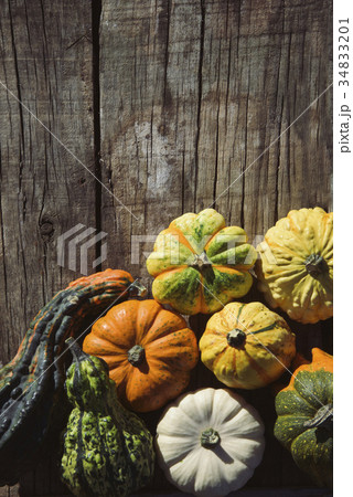 assortment of different pumpkins 34833201