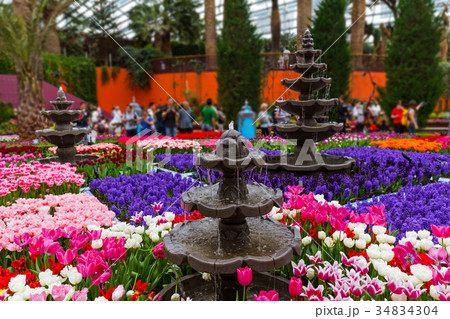 Flower Dome at Gardens by the Bay in Singapore Flower Dome at Gardens by the Bay in Singapore 34834304