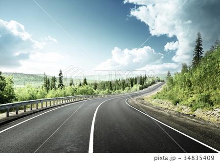 road in north forest 34835409