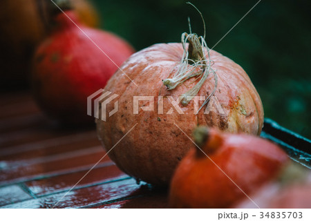close up on mixed pumpkins on the wood 34835703