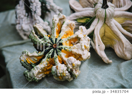 Close up on strange pumpkin in the basket Close up on strange pumpkin in the basket 34835704