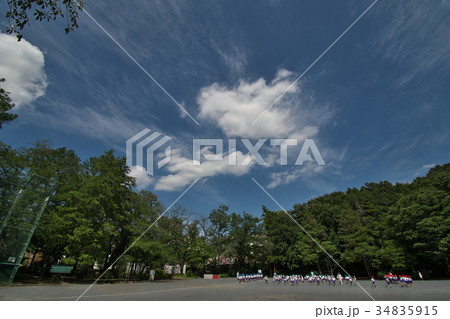 宮崎台4公園の秋空 34835915