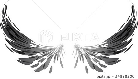 Black wings on white 34838200