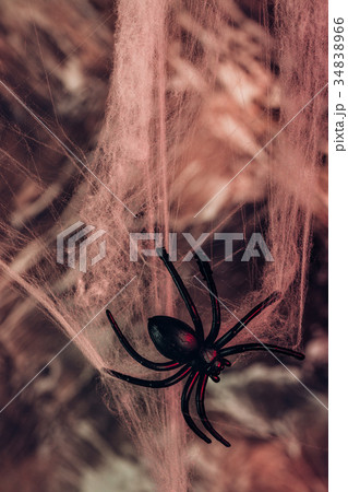 spider and a spider web. background for halloween 34838966