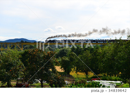 一の戸橋梁を渡るSLばんえつ物語号 34839642