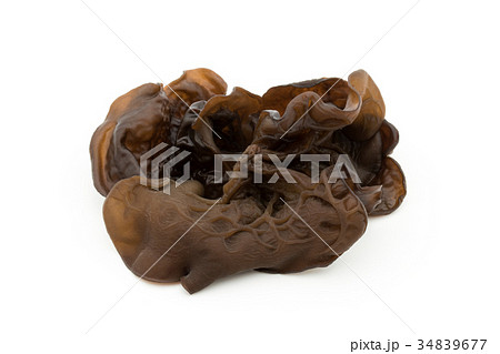 キクラゲ:Wood Ear キクラゲ:Wood Ear 34839677
