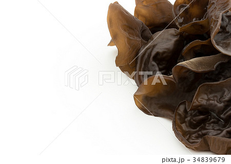 キクラゲ:Wood Ear 34839679