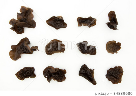 キクラゲ:Wood Ear キクラゲ:Wood Ear 34839680