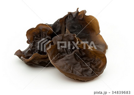 キクラゲ:Wood Ear キクラゲ:Wood Ear 34839683