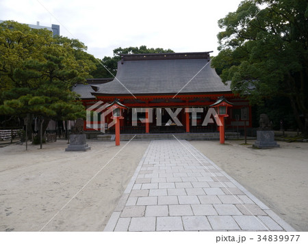 住吉神社 博多 住吉神社 博多 34839977