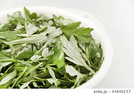 ヨモギ 34840237