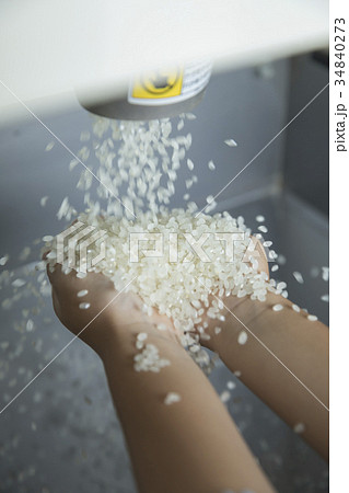 精米したてのお米を触る子ども 34840273