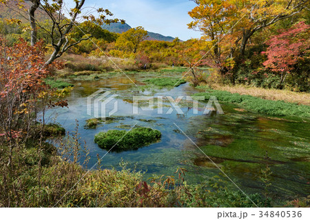 グダリ沼 - 八甲田田代平湿原 34840536