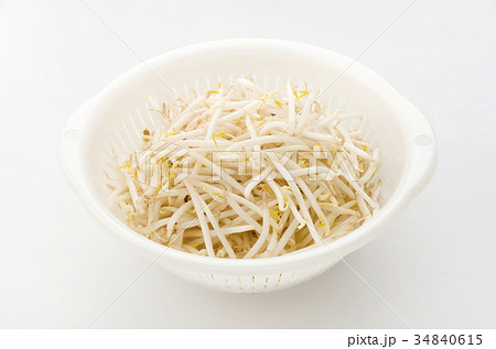 もやし 34840615