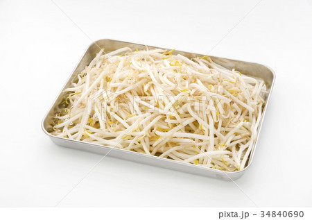 もやし もやし 34840690