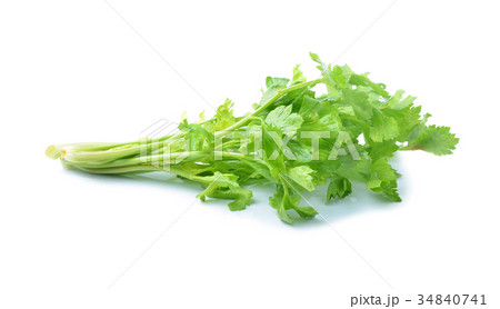 Celery on white background 34840741