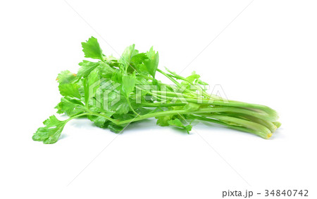 Celery on white background 34840742