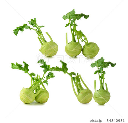 German turnips over white background German turnips over white background 34840981