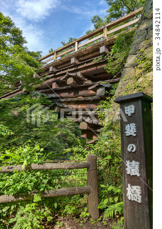 猿橋(7月 大月市猿橋町) 猿橋(7月 大月市猿橋町) 34842114