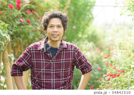 Asian man gardener standing at rose garden Asian man gardener standing at rose garden 34842310